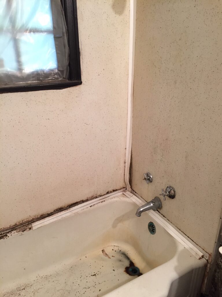 Exceptionally bad tub in need of New Life
