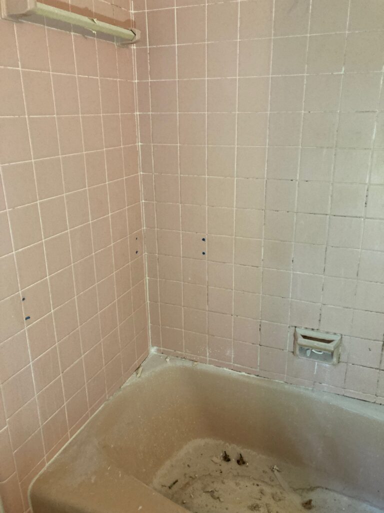 Tub in need of a color change